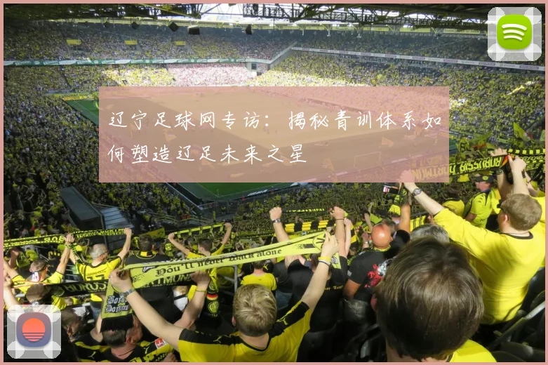 辽宁足球网专访:揭秘青训体系如何塑造辽足未来之星