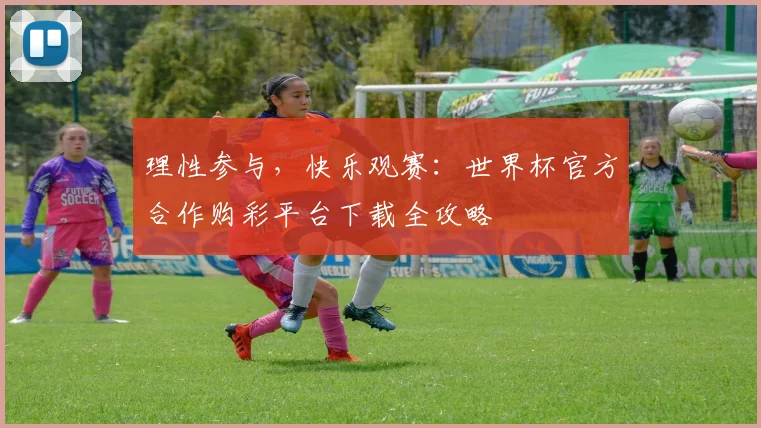 理性参与，快乐观赛：世界杯官方合作购彩平台下载全攻略