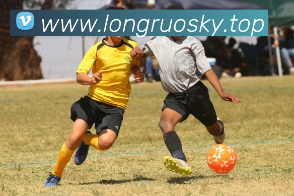 mksports官方app官网入口品牌故事