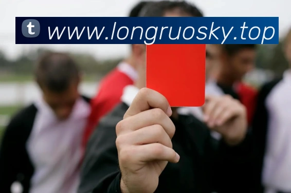 mksports官方app官网入口服务体系